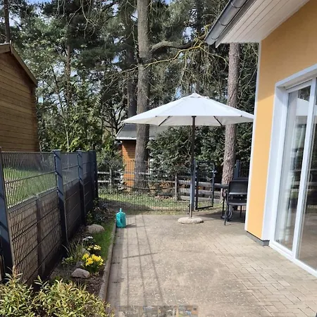 Seeurlaub Mueritz - Pinus Eg Mit Sauna, Nur 300 M Zum Appartamento *